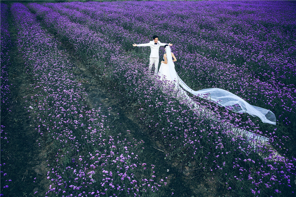 杭州-依山郡花海-图片1